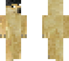 doge thing