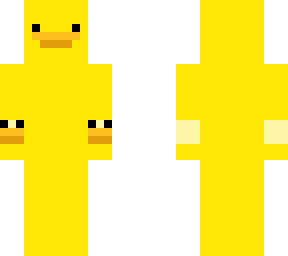 duck | summer