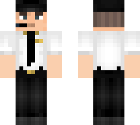 airline pilot