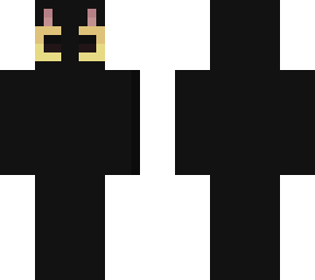 black cat