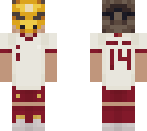 new ferremc skin