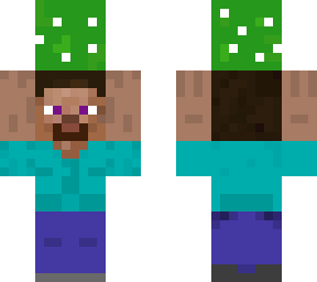 steve holdin mr.cacto