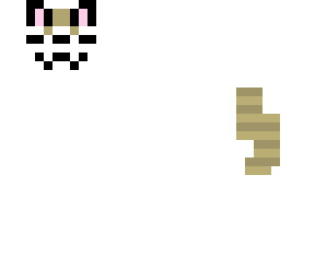 shino san