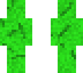 war-torn turtle