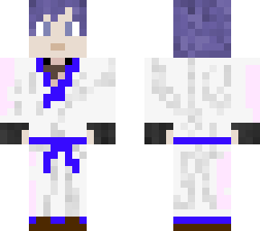 blue and white ninja