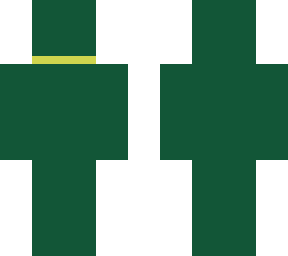 bin minecraft skin