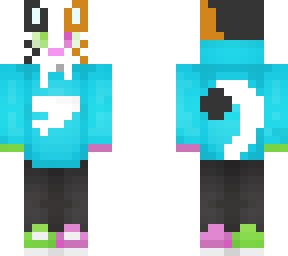 cat with sweater