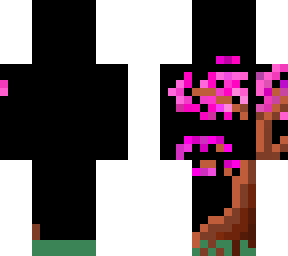 cherry blossom