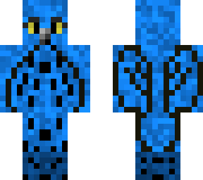 edited little blue owl