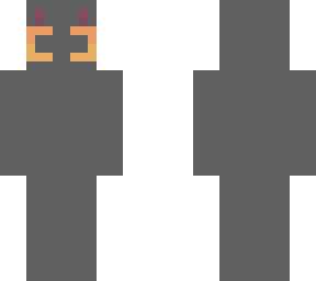el gato gris xd