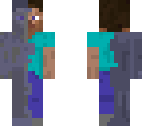 half steve half soul steve