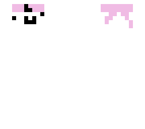 ninja skin