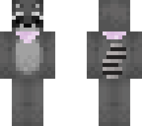 racoon matching