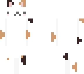 sorry i lost this skin