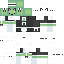https://www.minecraftskins.com/skin/18039160/turtle-maid/ | Minecraft Skin